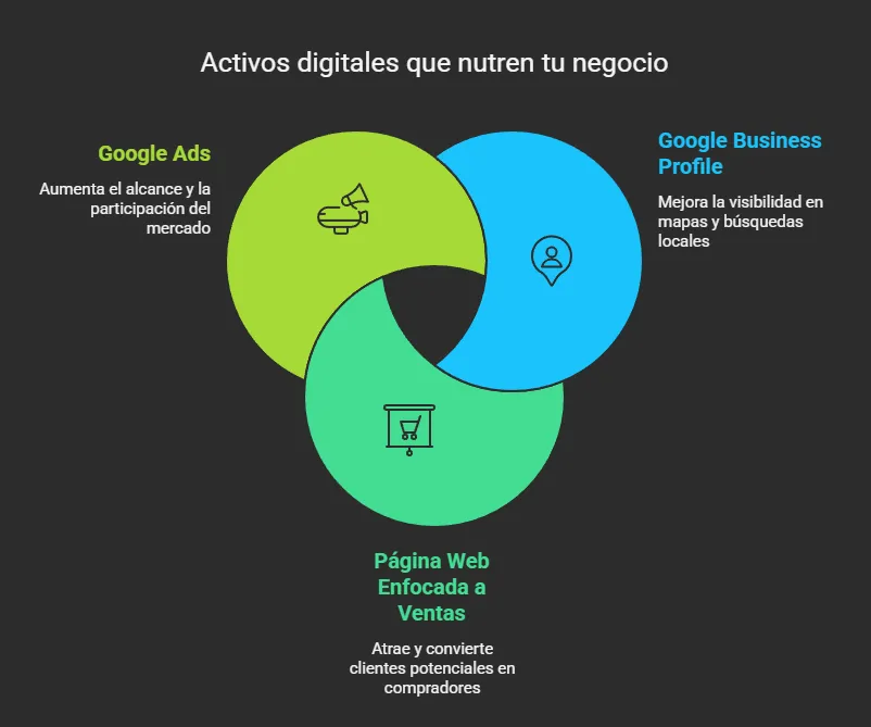 Los tres activos digitales clave para dominar el mercado local en Badalona. Metodología de SEO Local de César Auditore: Sincronización de Google Ads, Google Business Profile y Diseño Web enfocado a ventas.