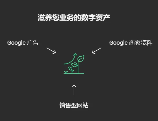 César Auditore 的本地 SEO 营销机器：整合 Google 广告、Google 商家资料和销售型网站。